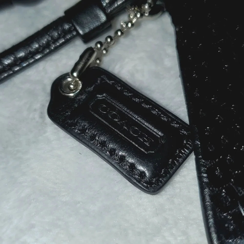Coach sequin wristlet